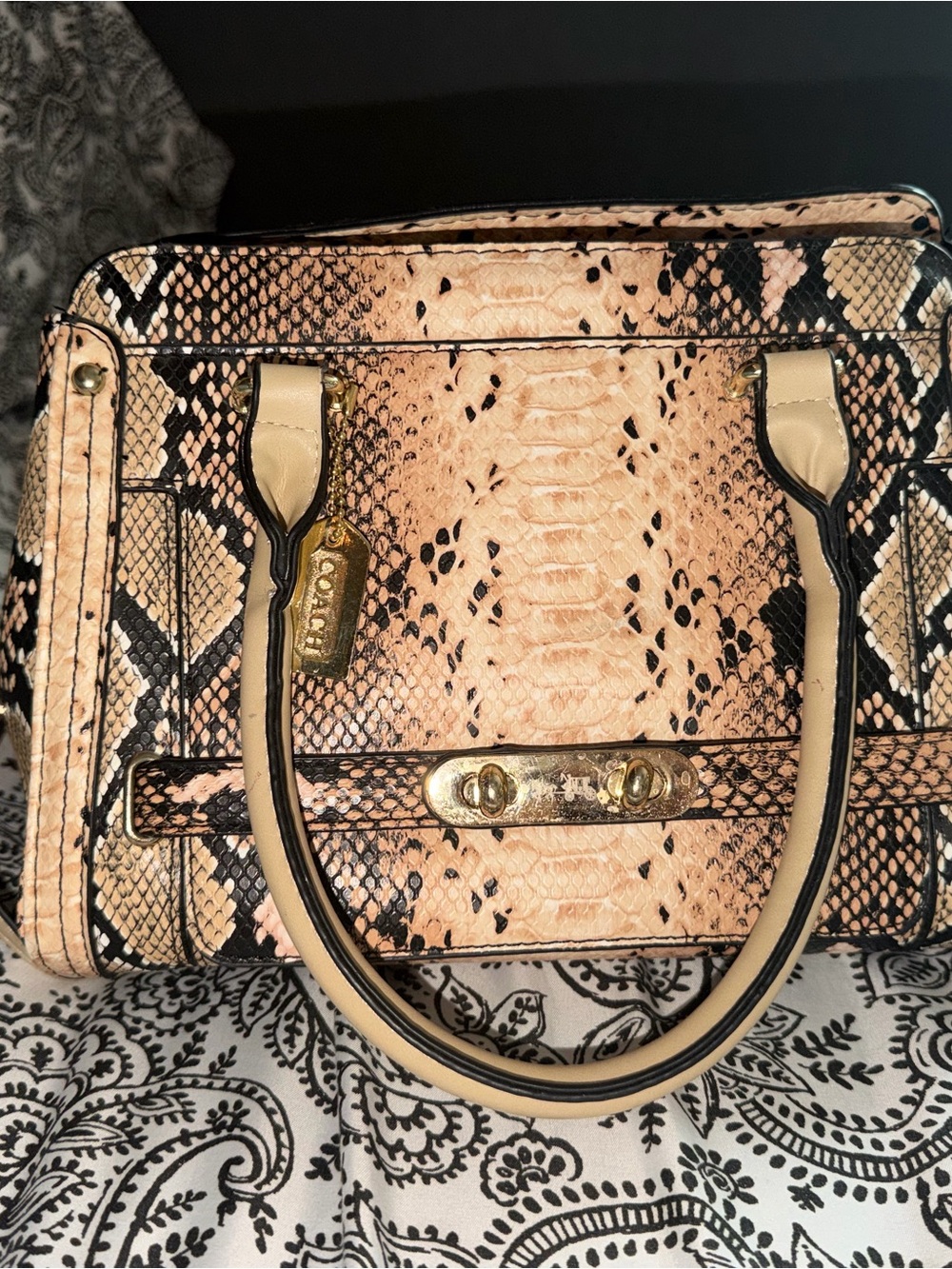 Coach Python-Print Satchel Handbag in Beige and Black